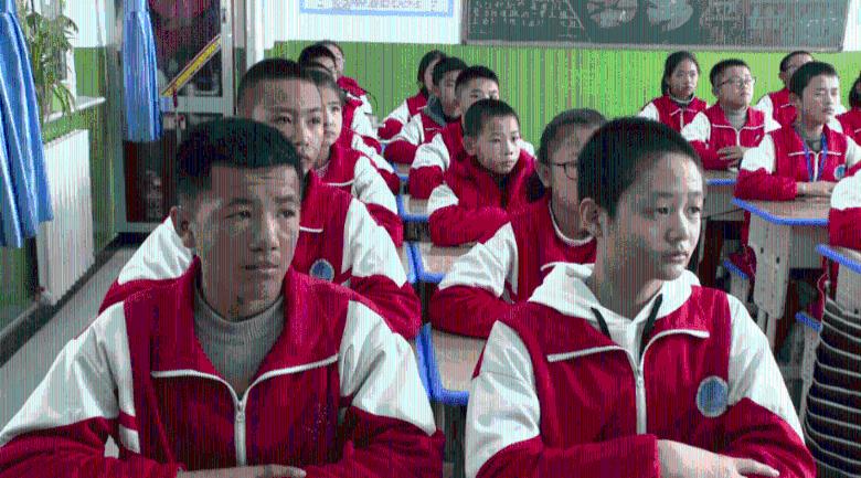 如果可以你会愿意领养退役搜救犬吗，为什么？游戏画面