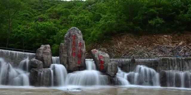 盐和避难所